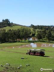 Calmsley Hill City Farm