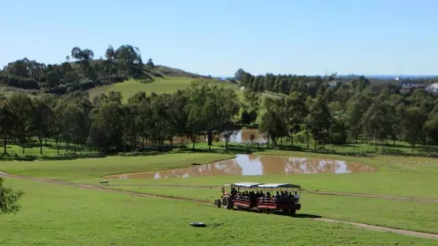 Calmsley Hill City Farm attraction in Sydney