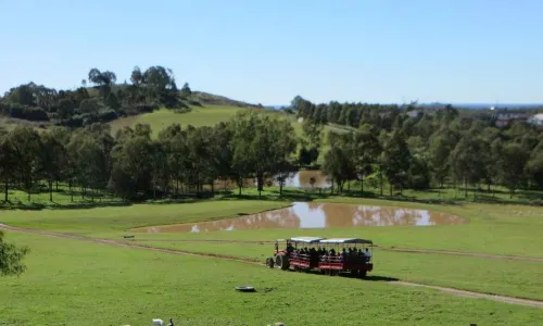 Calmsley Hill City Farm