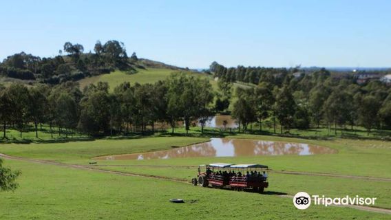 Calmsley Hill City Farm