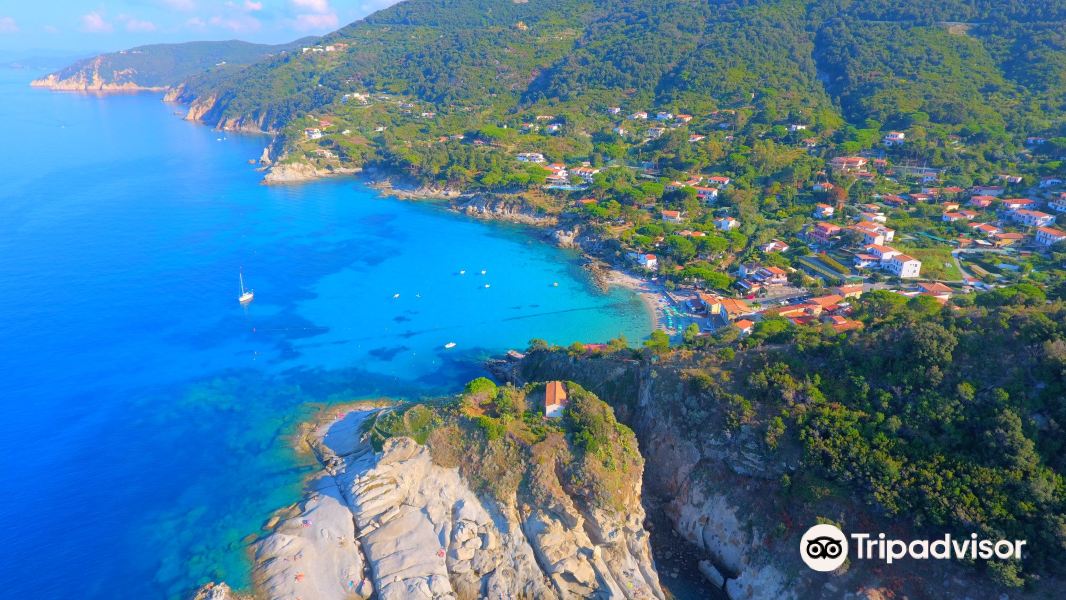 Valencia to Elba Island Flights