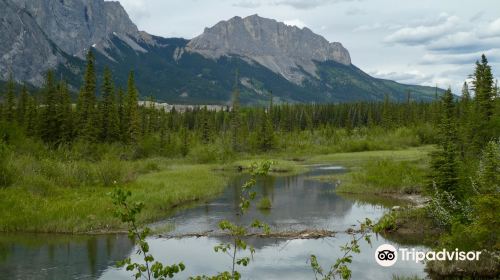 Bow Valley Provincial Park