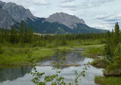 Bow Valley Provincial Park