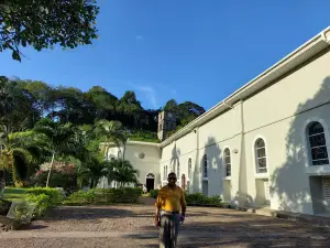 Cathedral of Our Lady of Immaculate Conception