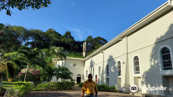 Immaculate Conception