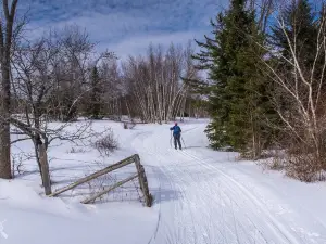 Ole's Cross Country Ski Center