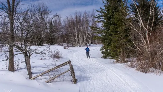 Ole's Cross Country Ski Center