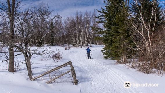 Ole's Cross Country Ski Center