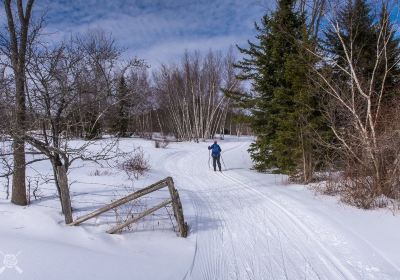 Ole's Cross Country Ski Center