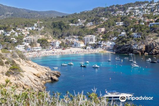 Playa Cala Vadella
