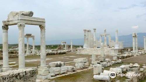 Laodicea