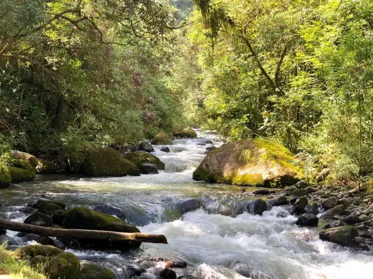 Hôtels à : Santa Rosa de Cabal