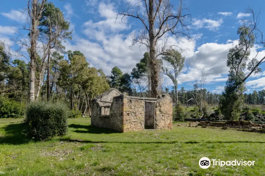 Wirrabara Forest Rd