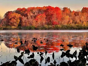 Morrison-Rockwood State Park