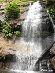 Papawyan Falls