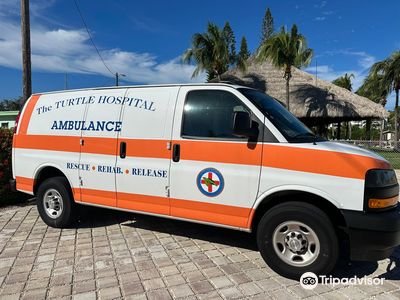Turtle Hospital