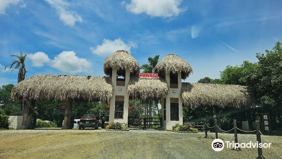 Panaca