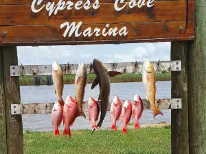 Salty Marsh Charters