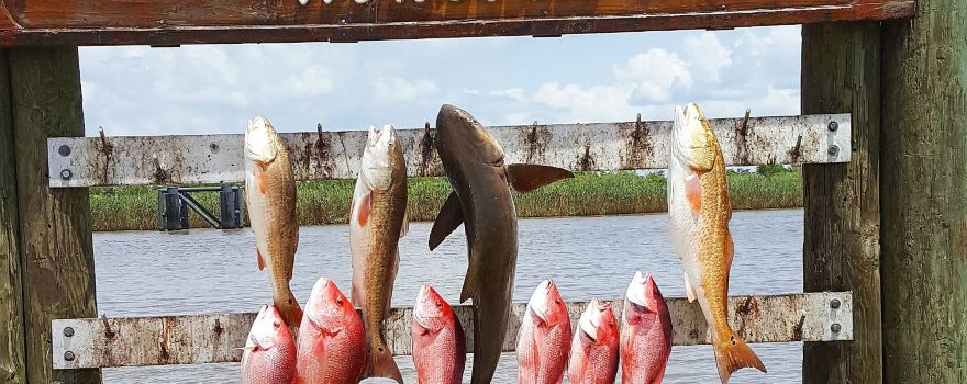 Salty Marsh Charters