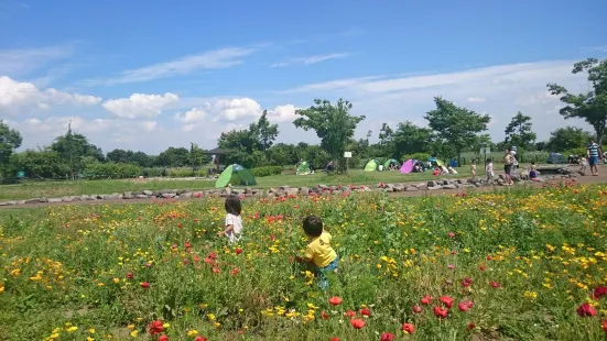 Matsubushi Midori no Oka Park