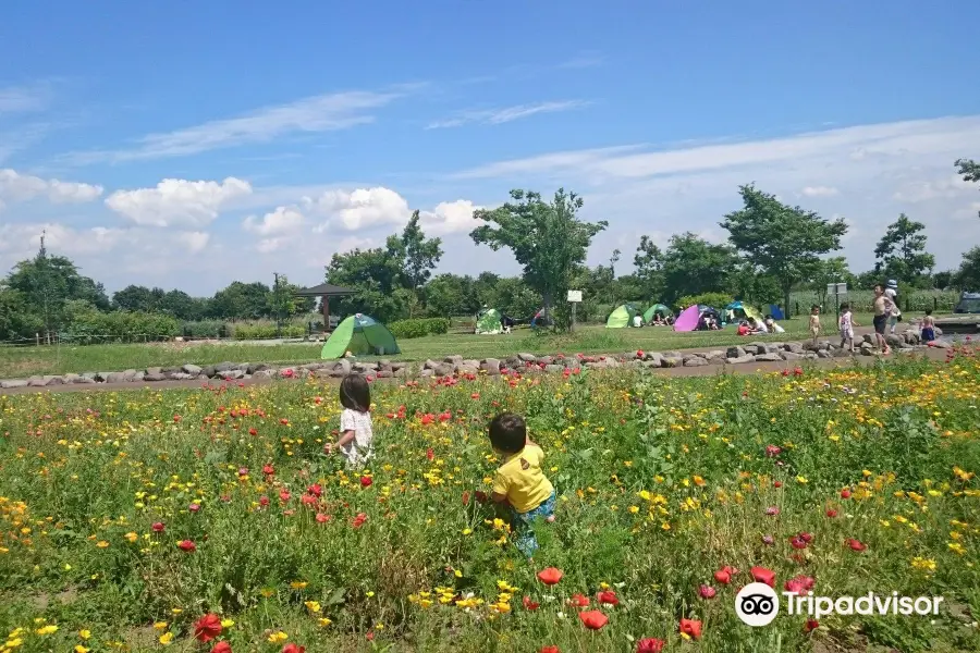 Matsubushi Midori no Oka Park