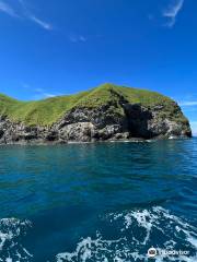 Pacific Coast Dive Center