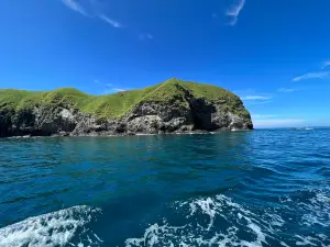 Pacific Coast Dive Center