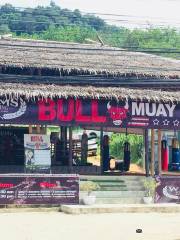 Bull Muay Thai