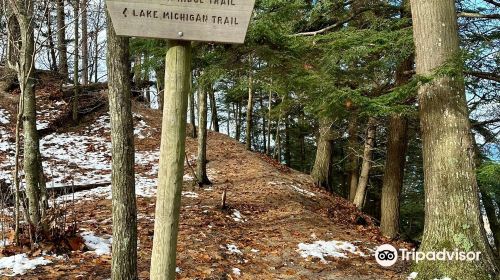 Nordhouse Dunes Wilderness Area