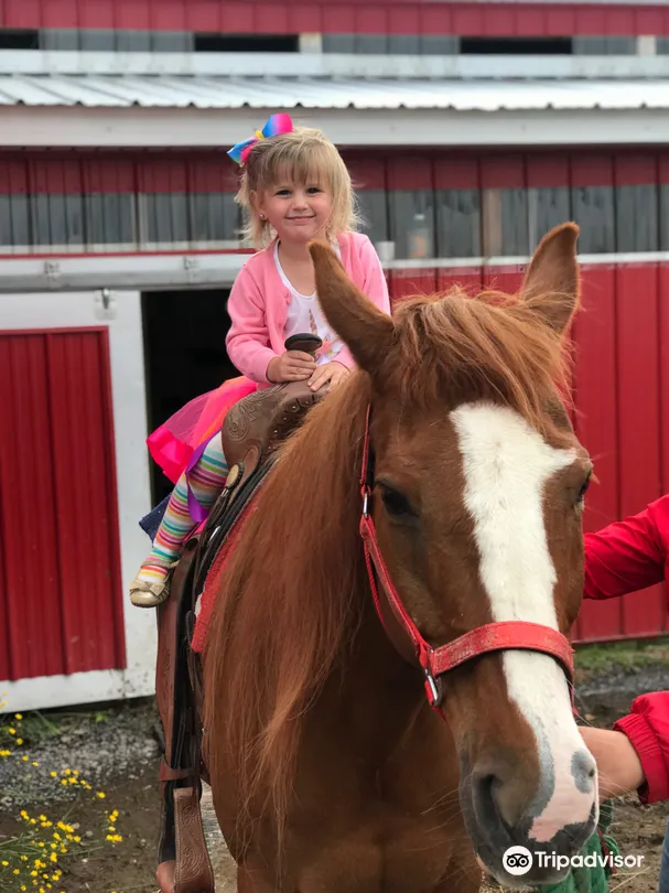 3_Old McDonald's Farm