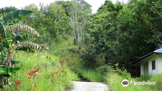Bukit Tempayan Pisang