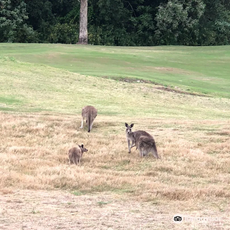 5_Riverside Oaks Golf Resort