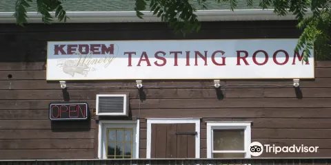 The Kedem Winery