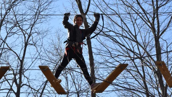 Boundless Adventures - New York City Zipline and Aerial Park