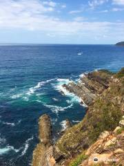 Bennetts Head Lookout