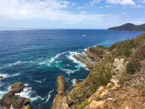 Bennetts Head Lookout