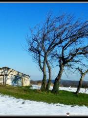 Parco Naturale Regionale della Gola della Rossa e di Frasassi