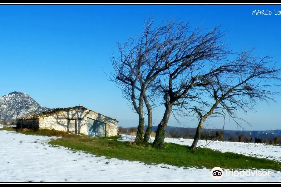 Parco Naturale Regionale della Gola della Rossa e di Frasassi