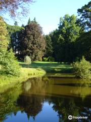 Arboretum du Château de Neuvic d'Ussel