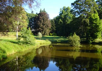 Arboretum du château de Neuvic d'Ussel