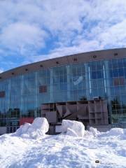赫爾辛基冰上運動場
