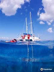 FE Catamaran Sail and Snorkel Cozumel