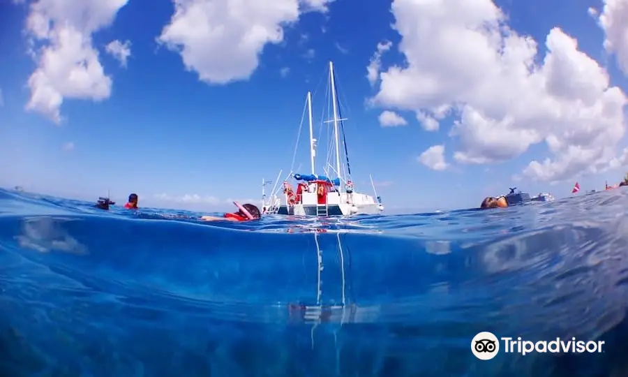 FE Catamaran Sail and Snorkel Cozumel