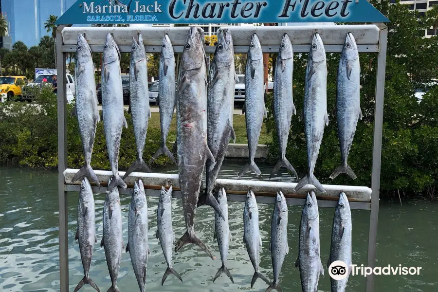 Outriggers Sport Fishing Charters
