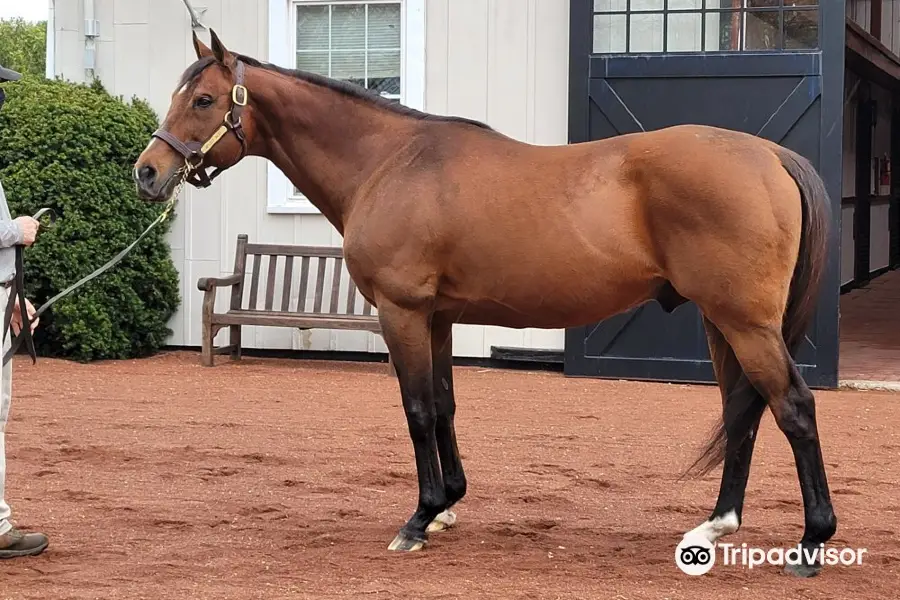 Gainesway Farm