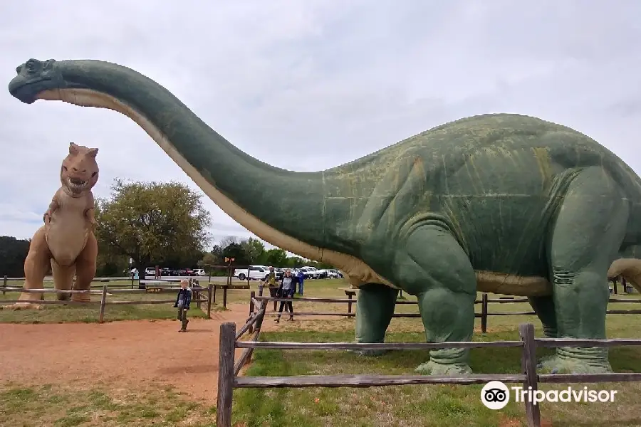 Dinosaur Valley State Park