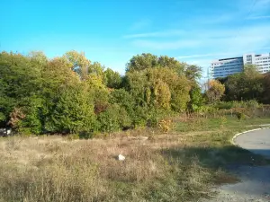 Dnipropetrovsk National University Botanic Garden