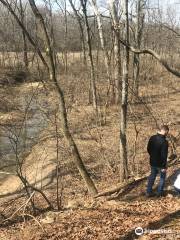 East Fork State Park MTB trails