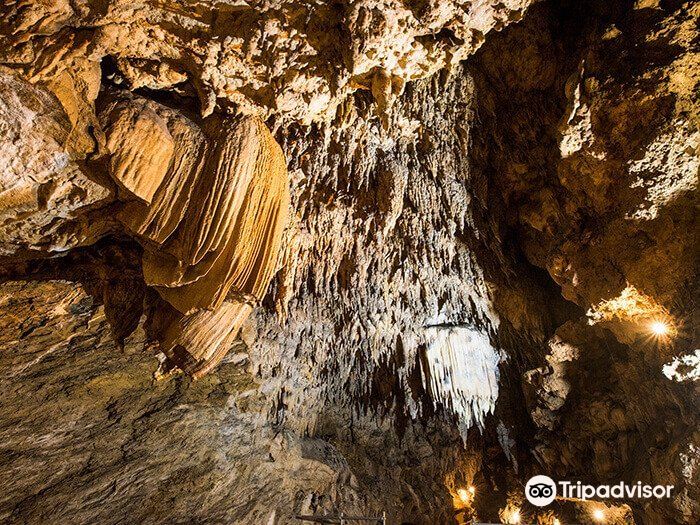 沖縄 CAVE OKINAWA【鍾乳洞】入場Eチケット 予約