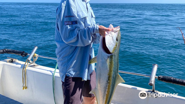 Fishing Charters Bay of Islands with Captain Bucko